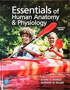 Essentials Of Human Anatomy & Physiology, 13Th Edition