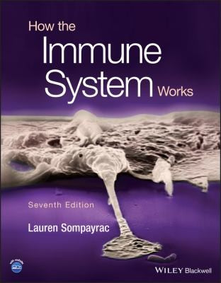 How The Immune System Works