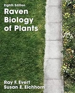 Raven Biology Of Plants