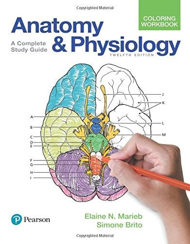 Anatomy And Physiology Coloring Workbook: A Complete Study Guide