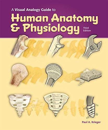 Visual Analogy Guide To Human Anatomy & Physiology