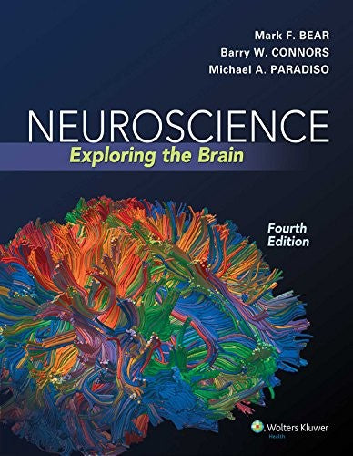 Neuroscience: Exploring The Brain, Fourth Edition By Mark F. Bear, Barry W. Connors, Michael A. Paradiso