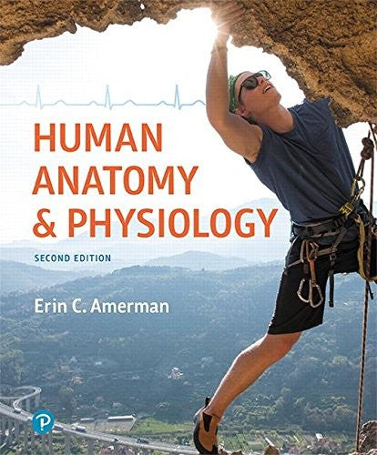 Human Anatomy Physiology 2Nd Edition