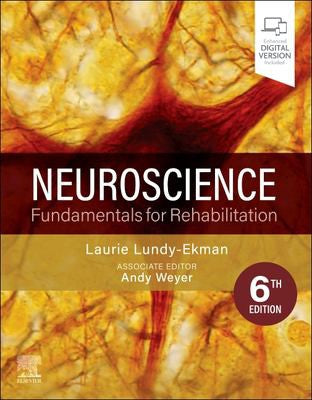 Neuroscience Fundamentals For Rehabilitation
